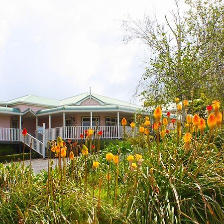 Bed and Breakfast Matakohe House Экстерьер фото